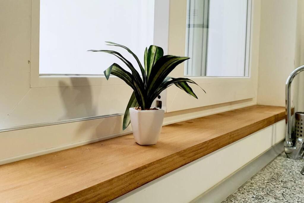 Apartamento Interior En Absoluto Centro En Algeciras 1º A Zewnętrze zdjęcie